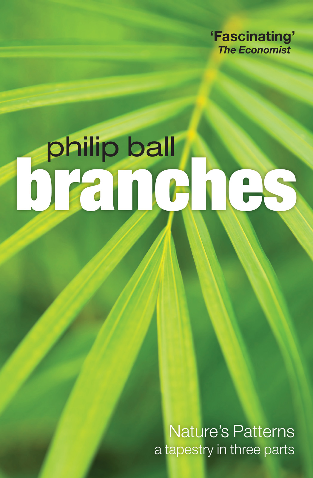Branches: Nature's Patterns: A Tapestry in Three Parts