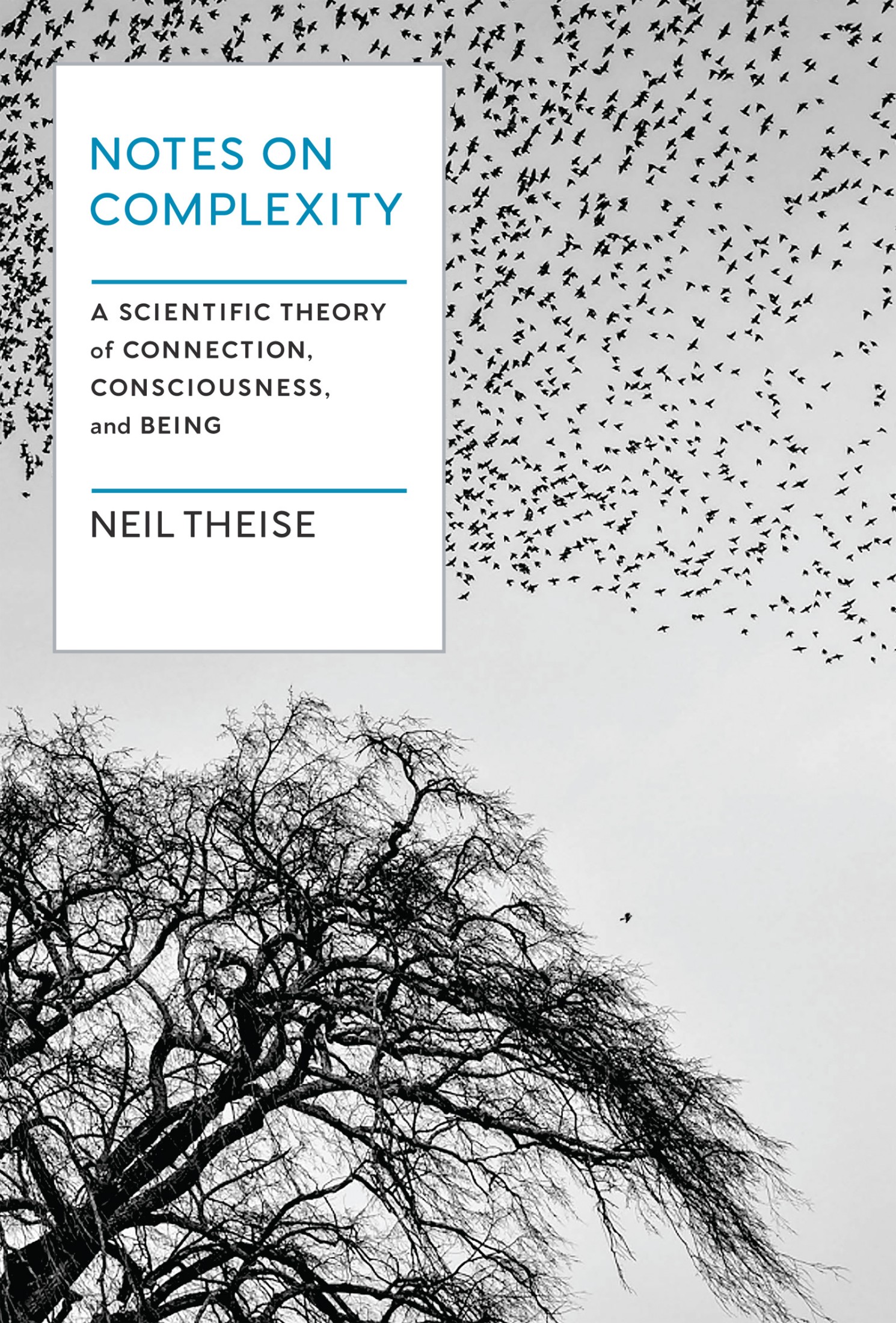 Notes on Complexity: A Scientific Theory of Connection, Consciousness, and Being