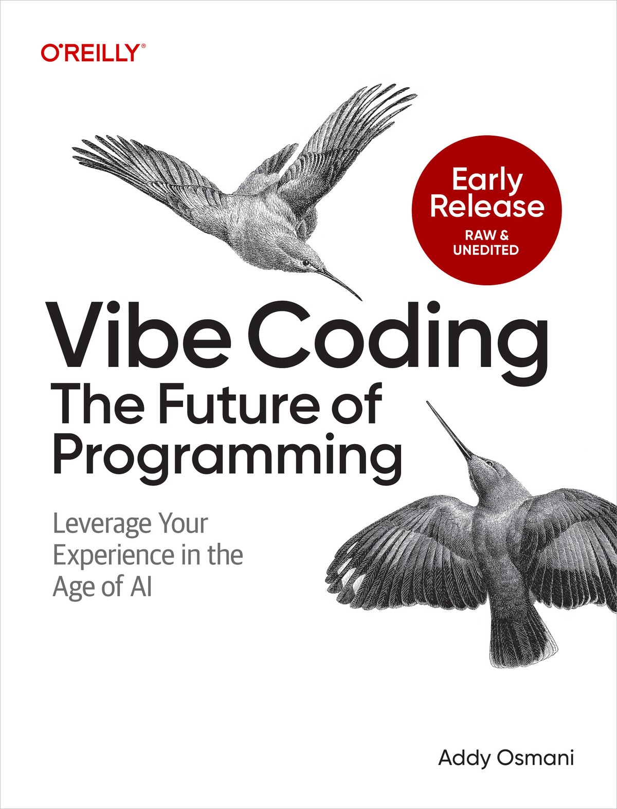 Vibe Coding: The Future of Programming