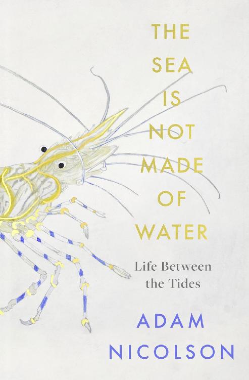 The Sea Is Not Made of Water
