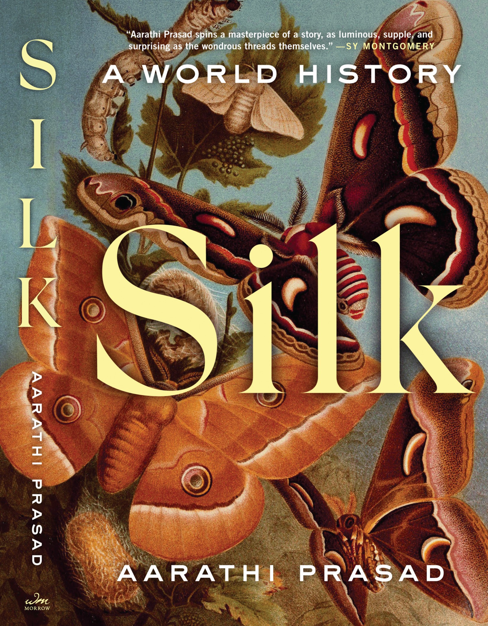 Silk: A World History